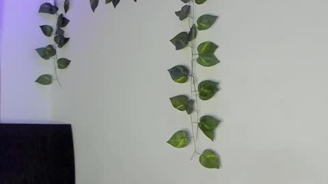 Snapshot of luaar_moon chatting on February 2026 01:44:02 AM Jenn online show from February 2026 01:44:02 AM