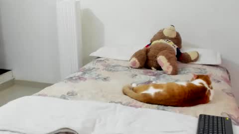 luara__01__lecat_1 online show from February 2026 11:19:02 PM