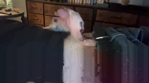 Snapshot of lubthemtitties chatting on December 2024 08:49:02 AM lubthemtitties online show from December 2024 08:49:02 AM