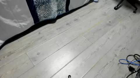 luca_morettii online show from October 2025 12:06:01 PM