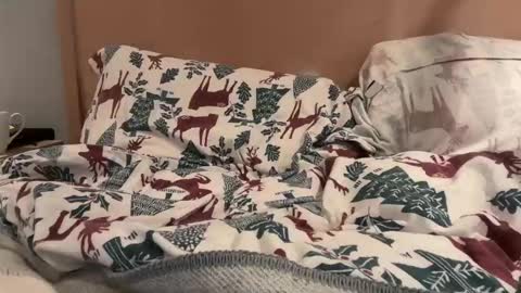 Snapshot of lucca_d123 chatting on September 2025 07:21:02 AM lucca_d123 online show from September 2025 07:21:02 AM