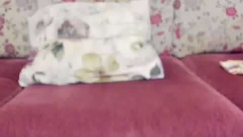 Mysterious Girl online show from December 2024 08:49:02 AM