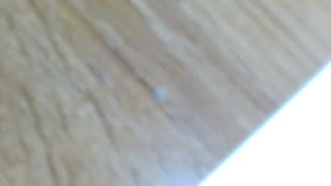 Snapshot of lucie_nicolls chatting on December 2024 12:31:02 AM Lucie   online show from December 2024 12:31:02 AM