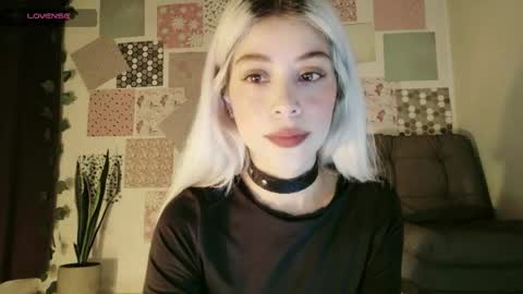 Snapshot of luckysapphire777 chatting on May 2026 11:17:01 AM luckysapphire777 online show from May 2026 11:17:01 AM
