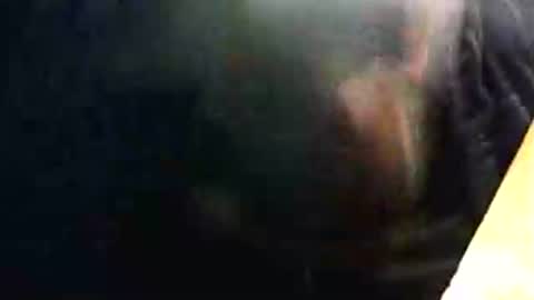 lukestarfckr online show from February 2026 09:33:02 PM