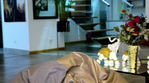 Lukhas f4f online show from January 2025 03:48:02 AM