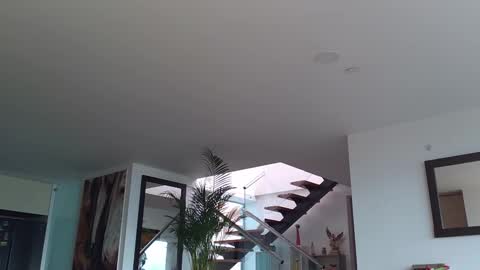 Lukhas f4f online show from February 2025 08:07:02 PM