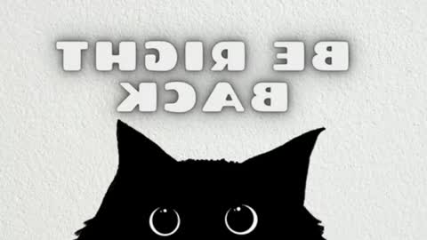 Snapshot of lulu_js_ chatting on May 2026 12:08:01 AM elizabeth online show from May 2026 12:08:01 AM