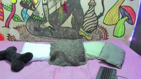 Snapshot of luna_gc chatting on January 2025 12:38:01 AM luna_gc online show from January 2025 12:38:01 AM