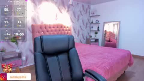  Luna online show from November 2025 02:33:01 AM