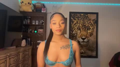 Snapshot of lunaa_11 chatting on January 2025 06:06:01 AM lunaa_11 online show from January 2025 06:06:01 AM