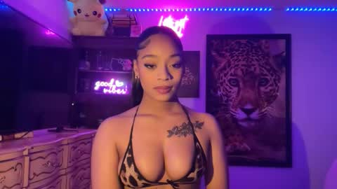 Snapshot of lunaa_11 chatting on December 2025 02:38:01 AM lunaa_11 online show from December 2025 02:38:01 AM