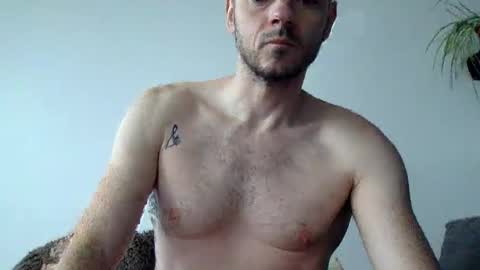 Lupine online show from October 2025 08:15:02 AM