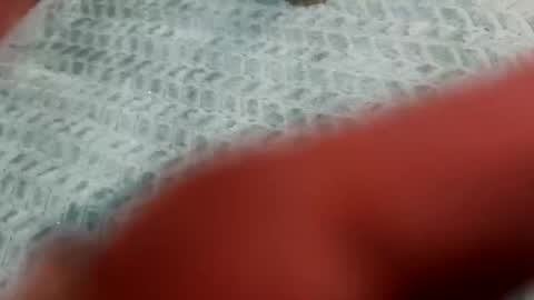 Snapshot of lust_4_daze chatting on February 2026 12:49:01 PM lust_4_daze online show from February 2026 12:49:01 PM