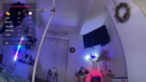 LOLA online show from January 2026 08:06:02 AM