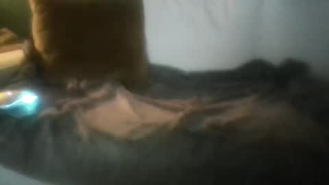 luvbigtits271 online show from January 2025 06:26:01 AM