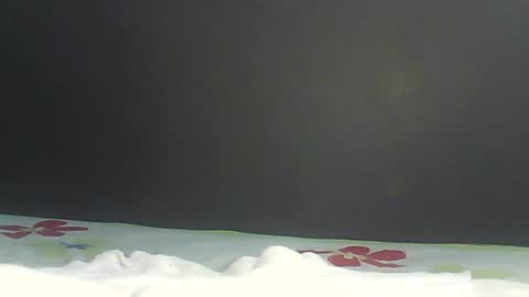 Bee Bee online show from February 2026 01:42:02 AM