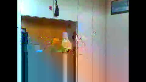 luxx72boy online show from January 2025 09:47:01 AM