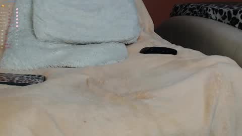 Palma online show from January 2025 09:02:02 AM