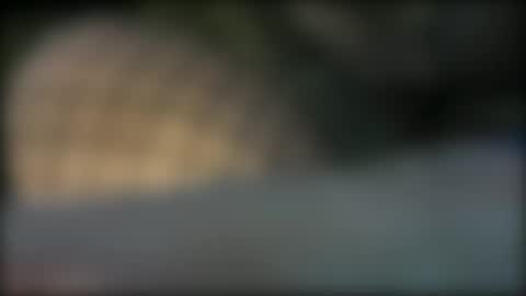 Lydia online show from January 2026 11:40:02 PM