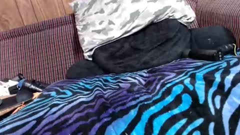 Snapshot of lyke2fuck chatting on February 2025 11:32:02 AM Lyke2fuck online show from February 2025 11:32:02 AM