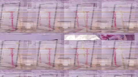 Lyly   online show from January 2025 09:41:01 AM