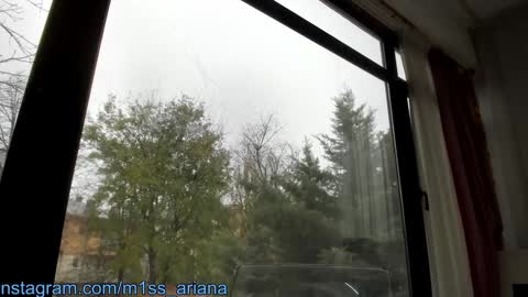 Ariana online show from December 2024 11:44:01 AM