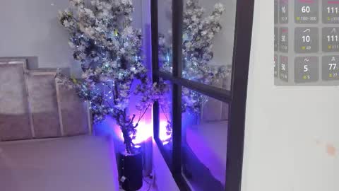 Maraacooper online show from November 2025 11:48:01 PM