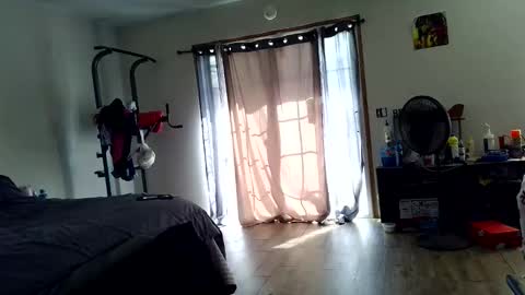 Snapshot of mace_shwanger chatting on April 2026 04:00:01 PM Mace Shwanger online show from April 2026 04:00:01 PM