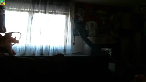 Snapshot of mad_dem0n chatting on March 2025 04:02:01 PM Manuel online show from March 2025 04:02:01 PM