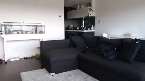 Snapshot of maddiemeekxo chatting on February 2025 02:19:02 AM Maddie Meek  online show from February 2025 02:19:02 AM