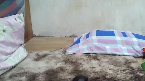 maegold69 online show from January 2026 04:53:02 PM