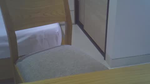 Snapshot of magicstick3003 chatting on December 2024 12:09:02 PM Eli online show from December 2024 12:09:02 PM