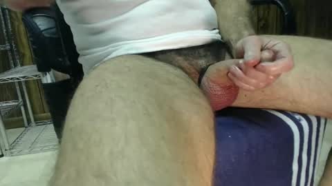 magnum8x7 online show from January 2025 06:34:02 PM