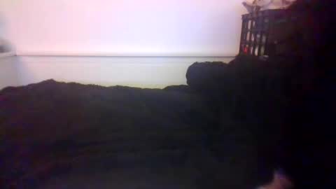 Snapshot of malebdsmslut chatting on October 2025 07:20:02 AM CommandbondageNipples bondage kink submissive lovense slave wgear. modequiethvyBondage If Password goldfish online show from October 2025 07:20:02 AM