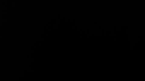 Alice Asylum online show from November 2025 04:01:01 AM