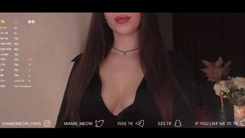 Snapshot of mamiemeow chatting on January 2025 12:56:01 PM Your Miss Alice online show from January 2025 12:56:01 PM