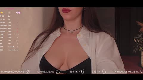 Snapshot of mamiemeow chatting on February 2025 04:31:01 PM Your Miss Alice online show from February 2025 04:31:01 PM