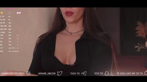 Snapshot of mamiemeow chatting on February 2025 02:48:01 PM Your Miss Alice online show from February 2025 02:48:01 PM