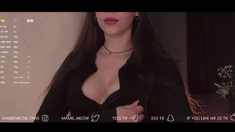 Snapshot of mamiemeow chatting on February 2025 07:13:02 AM Your Miss Alice online show from February 2025 07:13:02 AM