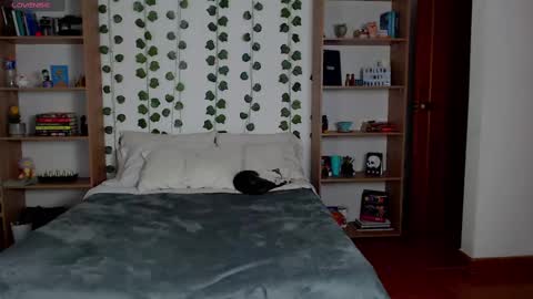 Danny online show from March 2025 05:24:02 AM