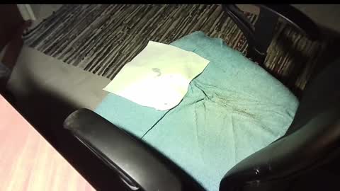 Snapshot of manswed chatting on January 2025 11:26:01 PM manswed online show from January 2025 11:26:01 PM