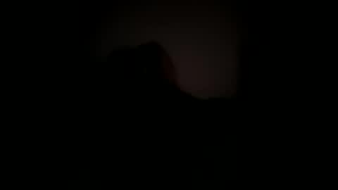 Snapshot of maocasua chatting on November 2025 01:28:02 PM mao online show from November 2025 01:28:02 PM