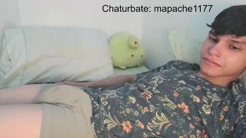 Snapshot of mapache1177 chatting on February 2026 06:00:02 AM mapache1177 online show from February 2026 06:00:02 AM