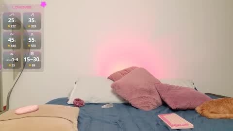     online show from January 2025 03:23:02 AM