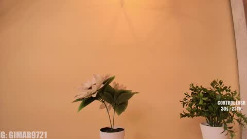 Marcela online show from September 2025 01:22:01 AM