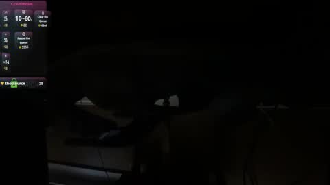 Marco Polo online show from October 2025 08:39:01 PM