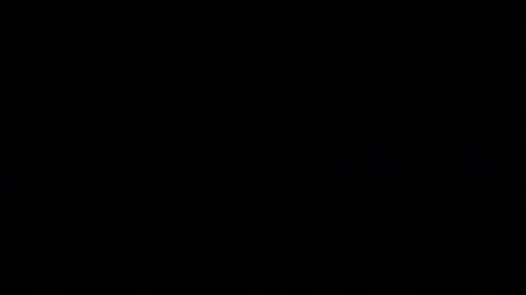 Snapshot of margolane chatting on October 2025 01:33:02 PM Elle online show from October 2025 01:33:02 PM