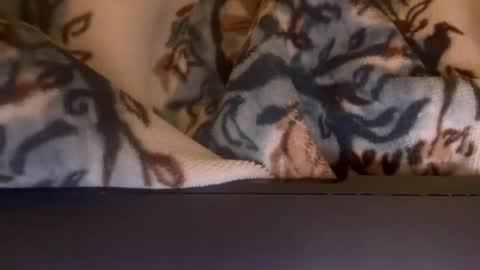 Snapshot of margolane chatting on November 2025 05:07:01 AM Elle online show from November 2025 05:07:01 AM