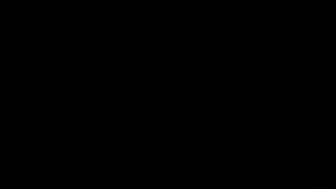 Snapshot of margolane chatting on November 2025 06:11:02 PM Elle online show from November 2025 06:11:02 PM